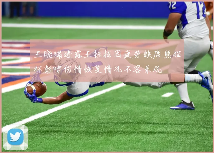 王晓瑞透露王钰栋因疲劳缺席熊猫杯彭啸伤情恢复情况不容乐观