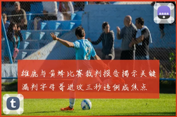 雄鹿与黄蜂比赛裁判报告揭示关键漏判字母哥进攻三秒违例成焦点
