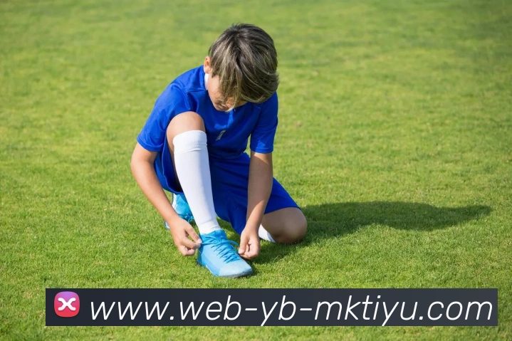 MK体育平台生态图