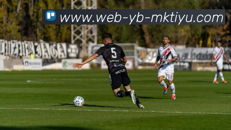 MK体育APP 封面图