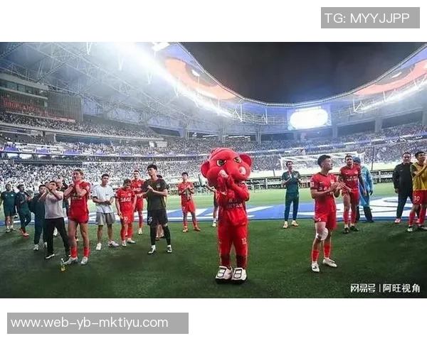 足协杯决赛即将开启河南球迷提前聚集点燃奥体激情氛围